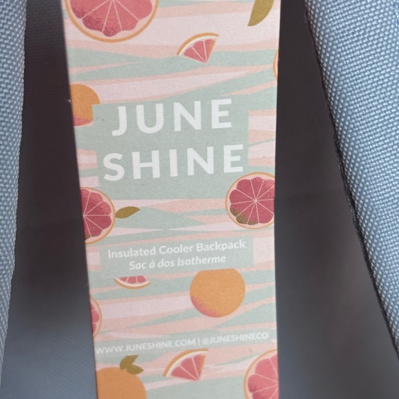 NWT June Shine Citrus Print Insulated Cooler Backpack - Picture 2 of 11